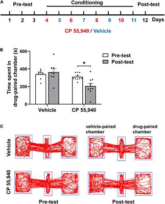 Astroglial CB1 Cannabinoid Receptors Mediate CP 55,940-Induced Conditioned Place Aversion Through Cyclooxygenase-2 Signaling in Mice